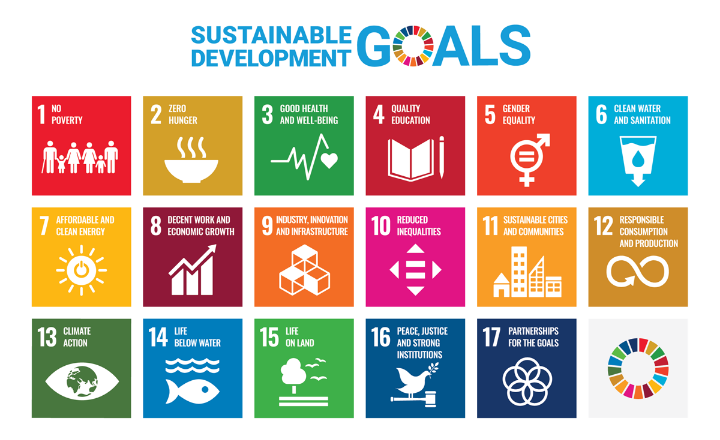 Sustainable Development Goals SDGs