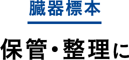 臓器標本 保管・整理に